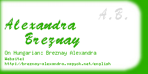 alexandra breznay business card